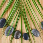 bamboo basalt stones